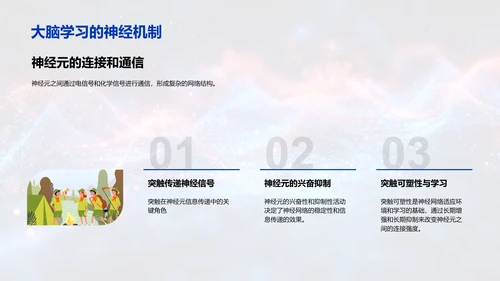 优化学习的脑科学策略