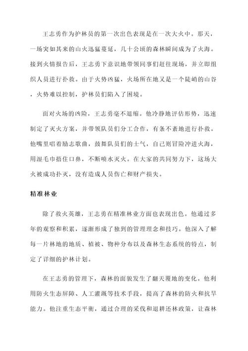 省级优秀护林员事迹