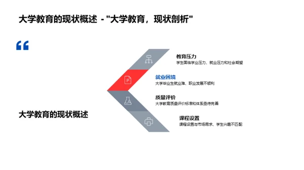 大学教育全景解析