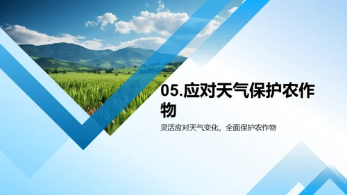 大暑护田策