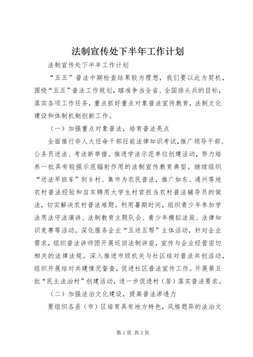 法制宣传处下半年工作计划.docx