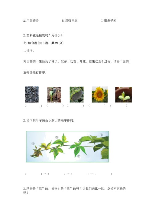 教科版科学一年级上册第一单元《植物》测试卷（历年真题）word版.docx