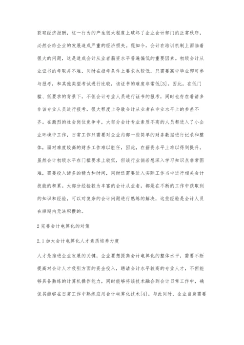 会计电算化面临的问题及其对策探析.docx