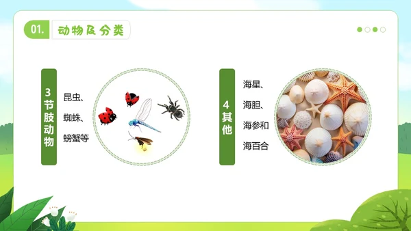 认识小动物幼儿园认识动物主题班会PPT课件世界动物日