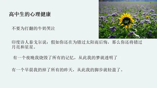 中学生心理健康主题班会PPT模板