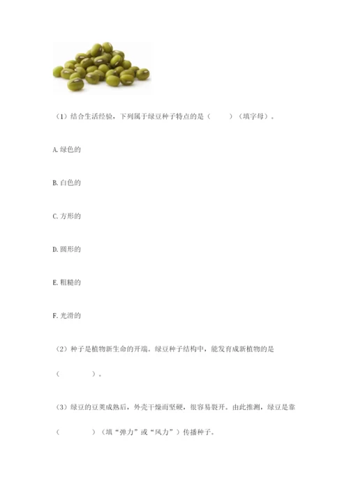 教科版科学四年级下册第一单元《植物的生长变化》测试卷【各地真题】.docx