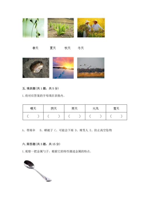 教科版科学二年级上册《期末测试卷》含答案解析.docx