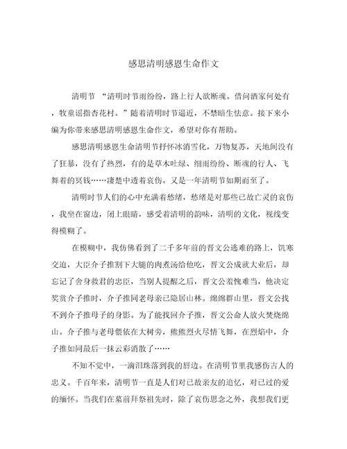感思清明感恩生命作文