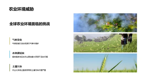 农业创新，共赢未来