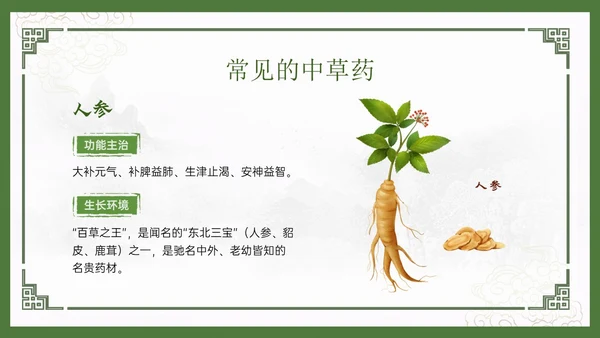 绿色中国风古风神奇中草药主题班会PPT模板中医药