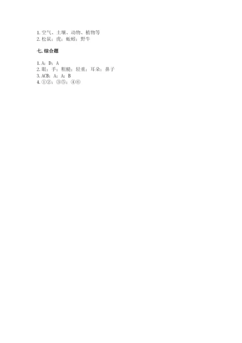 教科版二年级上册科学期末测试卷附参考答案（轻巧夺冠）.docx