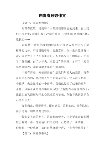 向青春致敬作文.docx