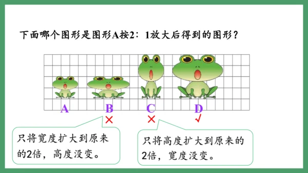 新人教版数学六年级下册4.3.4  图形的放大与缩小课件