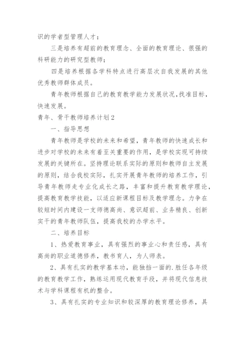 青年、骨干教师培养计划.docx