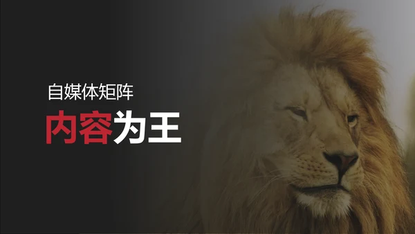 公司品牌营销传播方案PPT模板