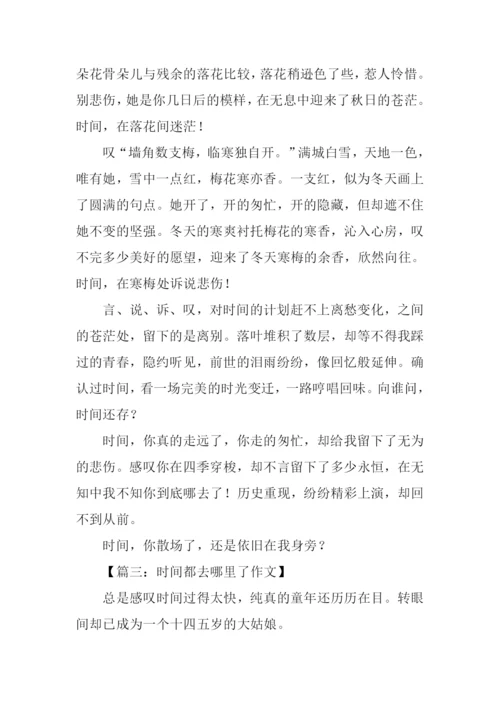 时间都去哪里了作文.docx