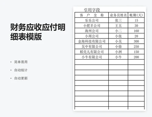 财务应收应付明细表模版
