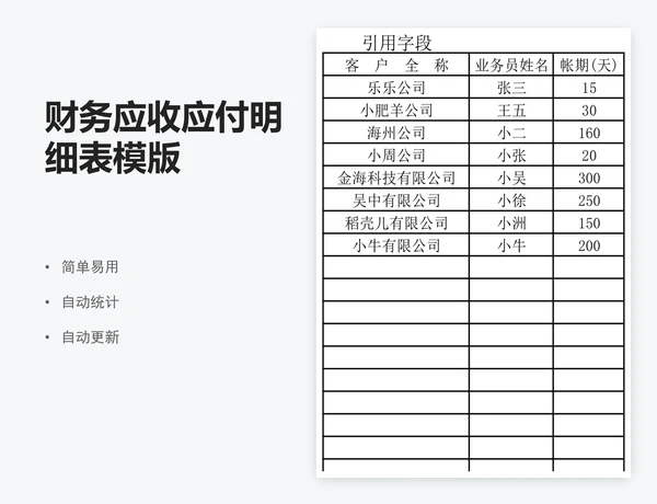 财务应收应付明细表模版