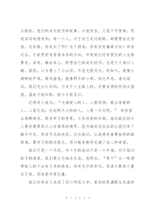 中学骨干教师培训总结.docx