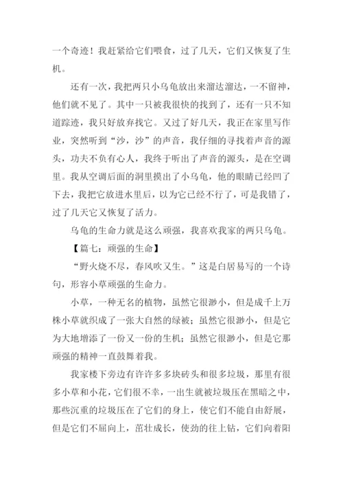 顽强的生命作文350字.docx