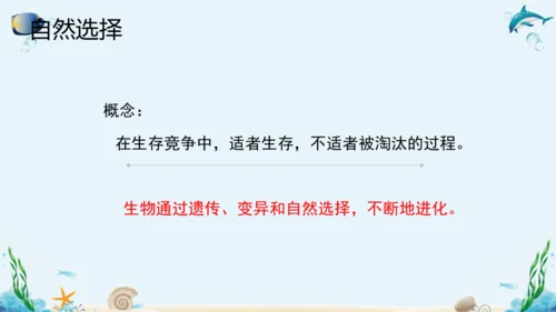 人教版八年级下册生物复习课件