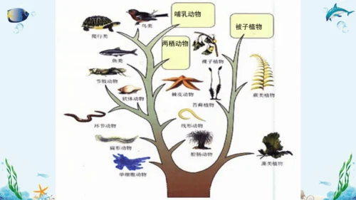 人教版八年级下册生物复习课件
