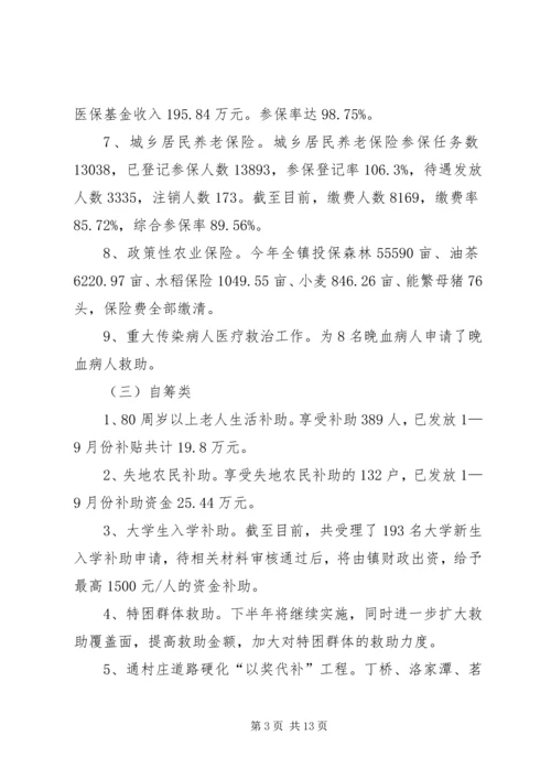 乡镇民生工程情况汇报.docx