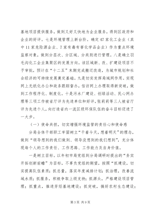 环保分局工作总结及工作计划.docx