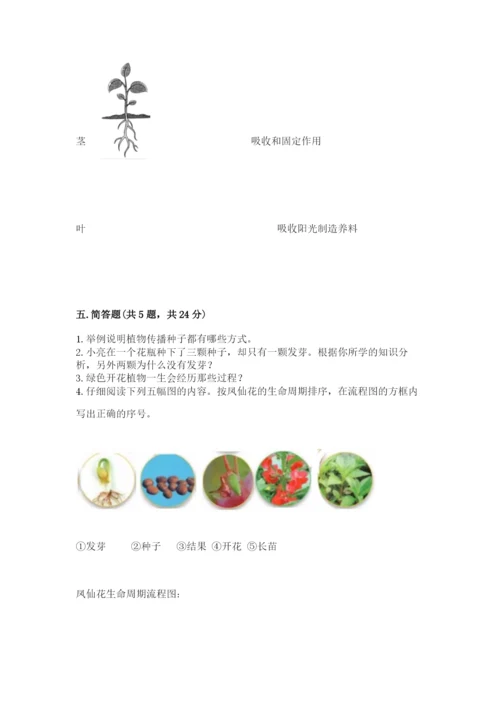 科学四年级下册第一单元《植物的生长变化》测试卷附完整答案【名师系列】.docx