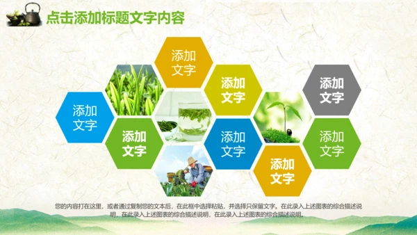 绿茶产品介绍茶叶茶文化春茶紫砂壶PPT