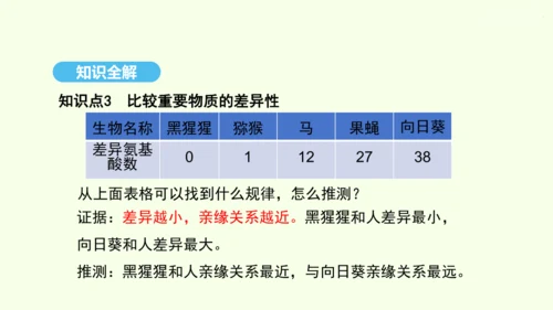 7.3.2生物进化的历程课件-人教版生物八年级下册(共23张PPT)