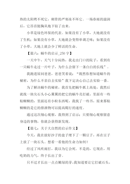 什么的启示作文250字.docx