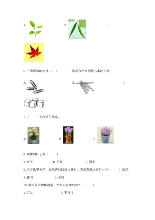 教科版科学一年级上册期末测试卷（夺冠）word版.docx