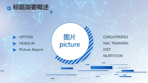 蓝色科技信息化建设工作总结PPT