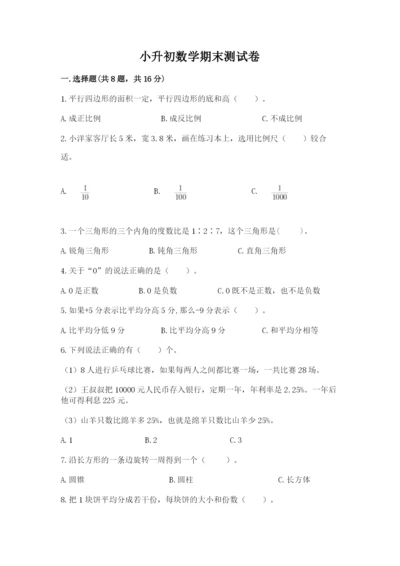 小升初数学期末测试卷附答案ab卷.docx