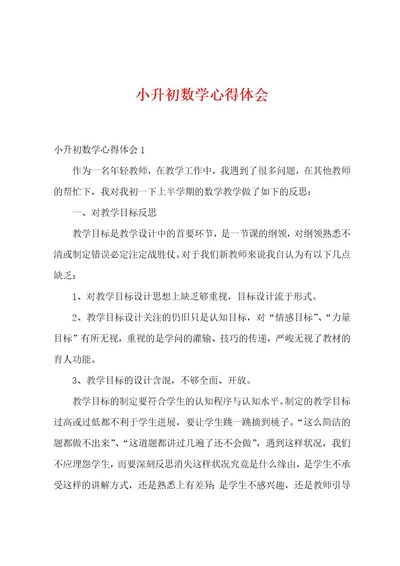 小升初数学心得体会