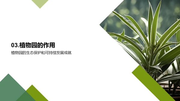 绿色卫士：植物园的力量