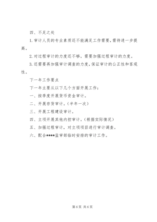 企业内部审计个人工作总结.docx