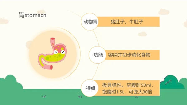 蓝色卡通幼儿园课件身体器官知多少幼儿园医学科普PPT模板