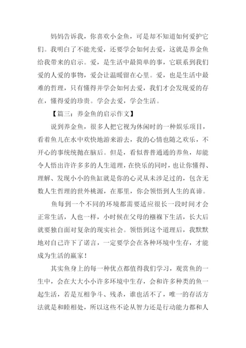 养金鱼的启示作文.docx