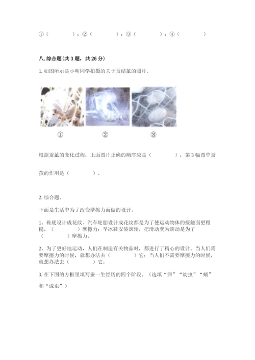 教科版三年级下册科学期末测试卷（考点精练）.docx