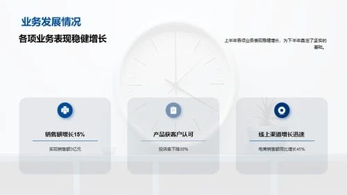 半年业绩回顾与展望