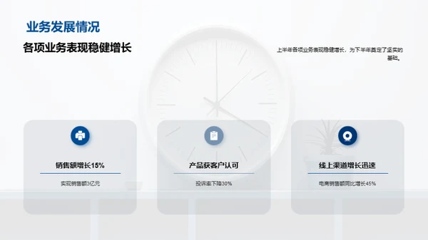 半年业绩回顾与展望