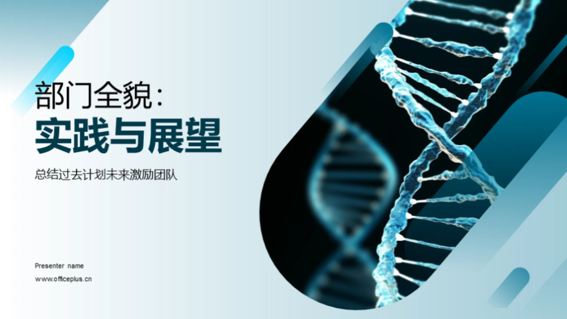 部门全貌:实践与展望