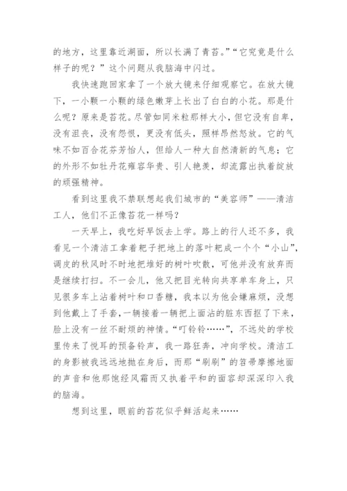 像苔花一样绽放作文.docx