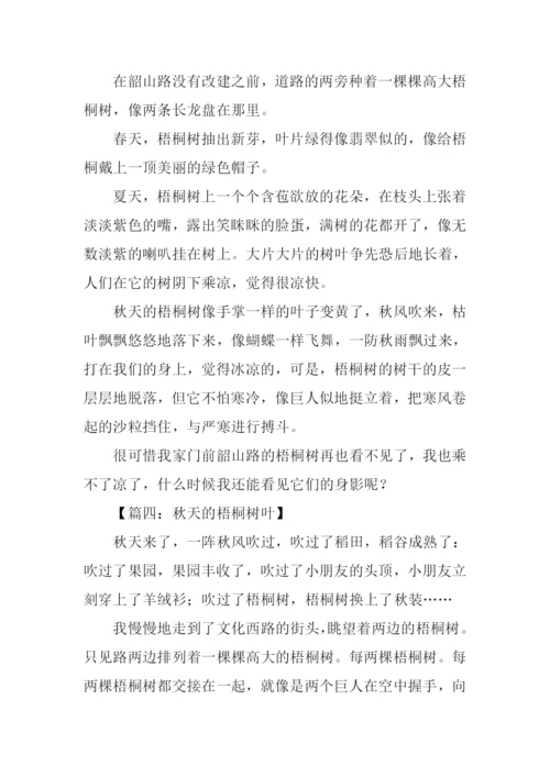 写秋天梧桐树的作文.docx
