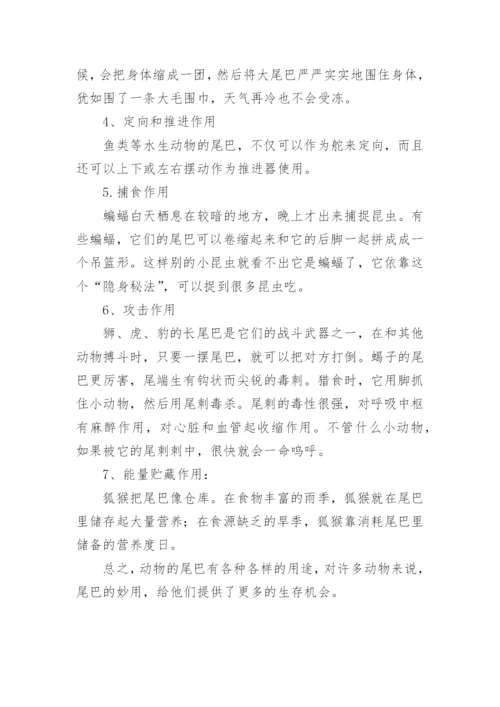 各种动物尾巴的作用.docx