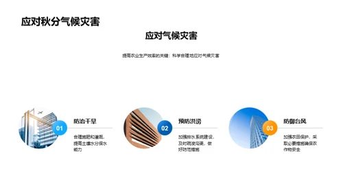 秋分季节的农业指南