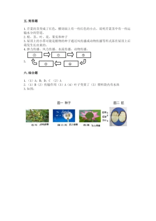 科学四年级下册第一单元《植物的生长变化》测试卷（有一套）.docx