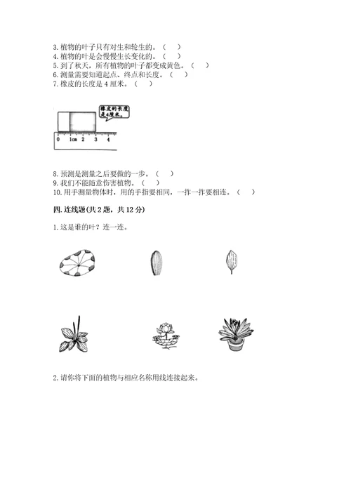 教科版一年级上册科学期末测试卷加解析答案